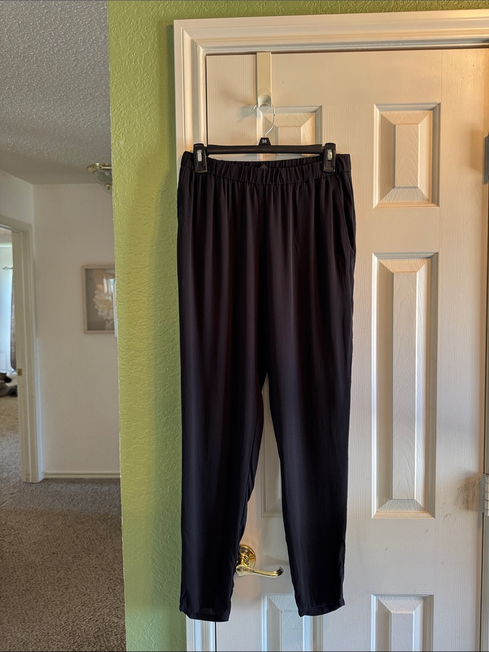 Eileen Fisher Georgette Crepe silk pants